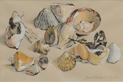 Lot 228 - David Easton, Shell study