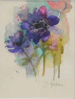 Lot 240 - Shirley Trevena, six original still life studies