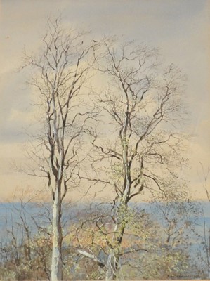 Lot 189 - Peter Newcombe, Beech Trees at Edge Hill