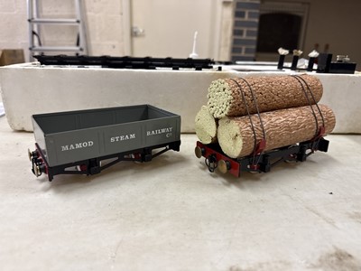 Lot 49 - Mamod Steam Railway, a live steam railway set
