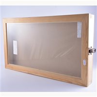 Lot 170 - Pine table-top display case, 61cm x 33cm; and...