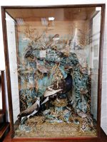 Lot 340 - A Victorian taxidermy arrangement of British birds