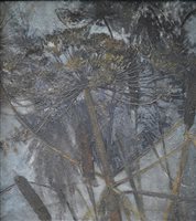 Lot 385 - English School, 20th Century, Bulrushes, oil on canvas.
