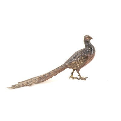 Lot 151 - Austrian cold painted bronze model of a peacock, Bergman, 8cm.
