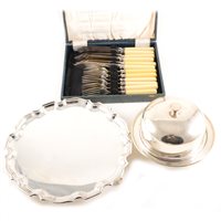 Lot 85 - Electroplated oval tea tray, cast outlines, ...
