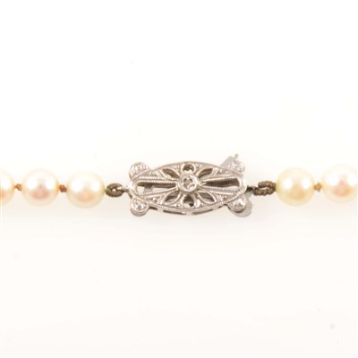 Lot 230 - A cultured pearl necklace.