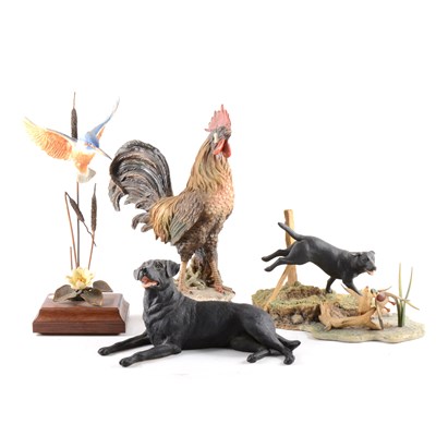 Lot 85 - Border Fine Arts, sporting groups, Design Studio Country Life model dogs...