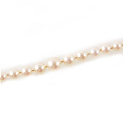 Lot 334 - A cultured pearl necklace.