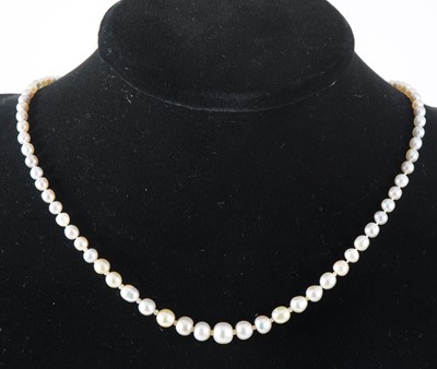 Lot 128 - An untested mix colour pearl necklace with diamond clasp.