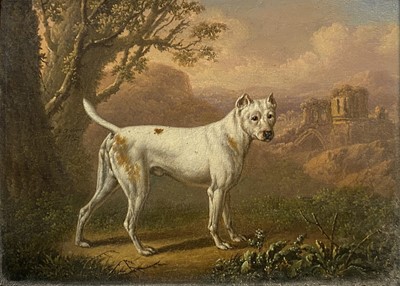 Lot 222 - Charles Towne