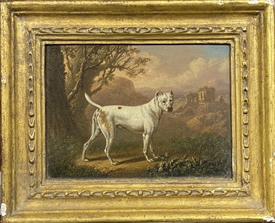 Lot 222 - Charles Towne