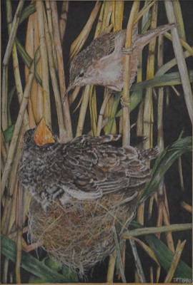 Lot 378 - T Richardson Jones, Cuckoo Chick, and pair of prints