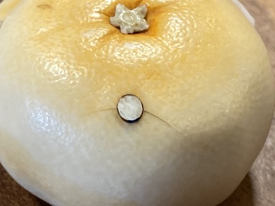 Lot 38 - A Japanese carved and stained ivory model of a part-peeled satsuma, early 20th Century