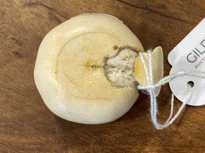 Lot 38 - A Japanese carved and stained ivory model of a part-peeled satsuma, early 20th Century