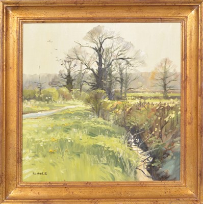 Lot 306 - John Lines, Country landscape with a brook