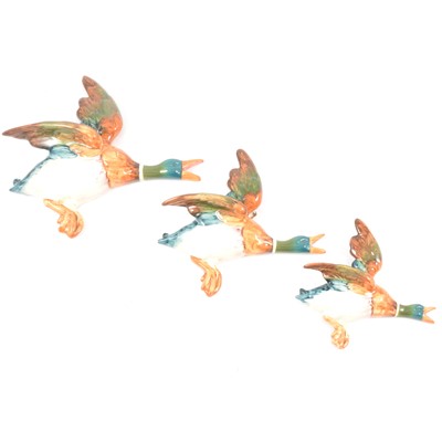 Lot 4 - Set of three Beswick wall mounted flying ducks.