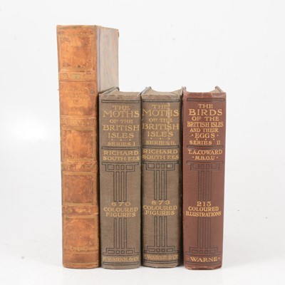Lot 164 - Risdon, Survey of Devon and South, Moths of the British Isles