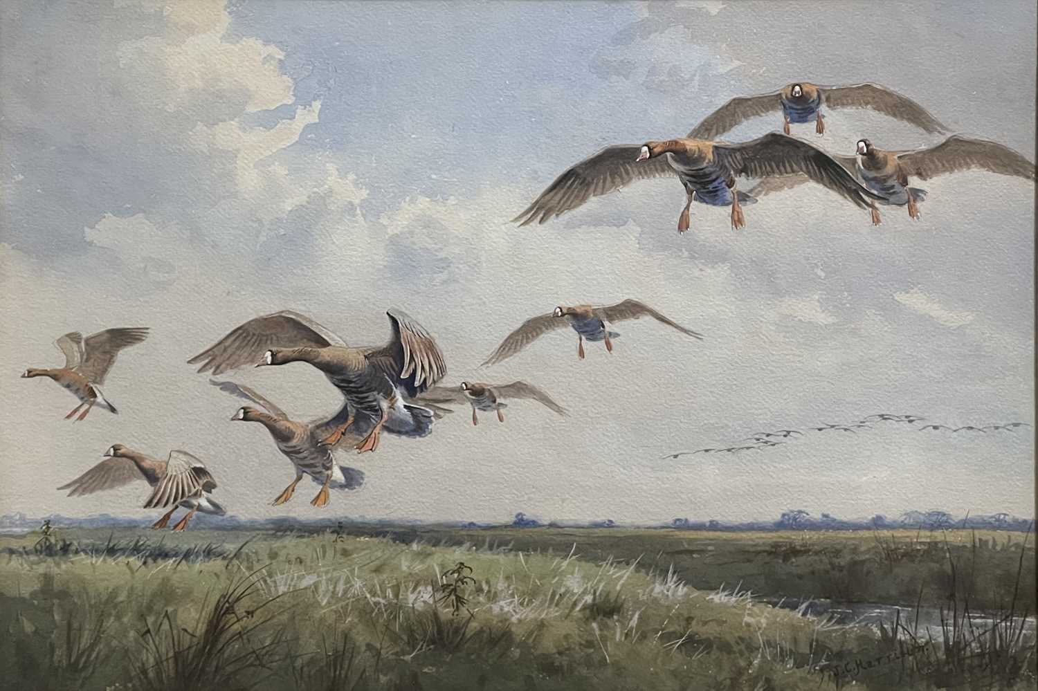Lot 190 - John Cyril Harrison, White-Fronted Geese