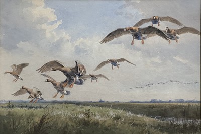 Lot 190 - John Cyril Harrison, White-Fronted Geese