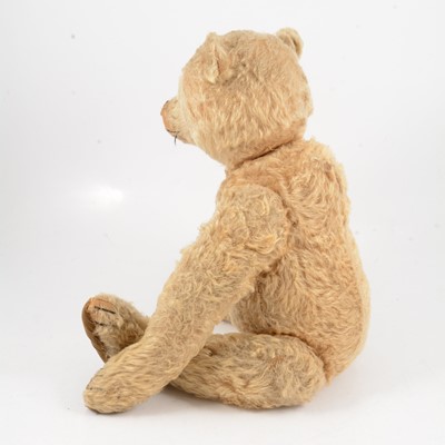 Lot 286 - Steiff Teddy bear, 'Little Ted' early 20th century, with original Steiff button to ear