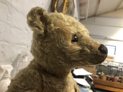 Lot 286 - Steiff Teddy bear, 'Little Ted' early 20th century, with original Steiff button to ear