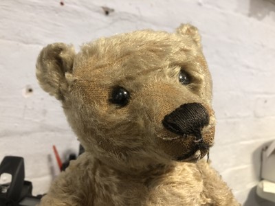 Lot 286 - Steiff Teddy bear, 'Little Ted' early 20th century, with original Steiff button to ear