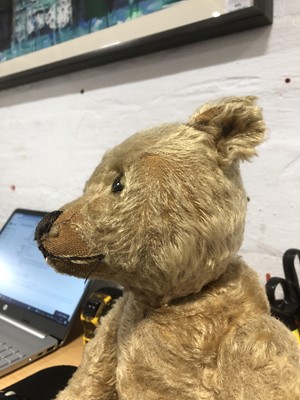 Lot 286 - Steiff Teddy bear, 'Little Ted' early 20th century, with original Steiff button to ear