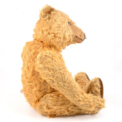 Lot 285 - Steiff Teddy bear, 'Grumbly' early 20th century golden long mohair fur.