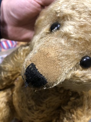 Lot 285 - Steiff Teddy bear, 'Grumbly' early 20th century golden long mohair fur.