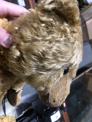 Lot 285 - Steiff Teddy bear, 'Grumbly' early 20th century golden long mohair fur.