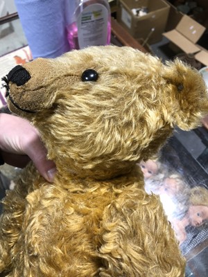 Lot 285 - Steiff Teddy bear, 'Grumbly' early 20th century golden long mohair fur.