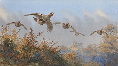 Lot 191 - John Cyril Harrison, Topping the Hedge - Partridges