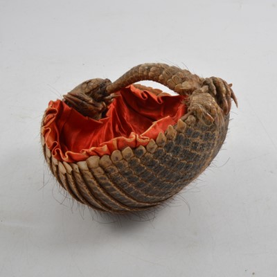 Lot 193 - An armadillo basket.