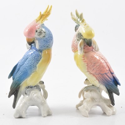Lot 4 - Pair of Karl Ens cockatoos.