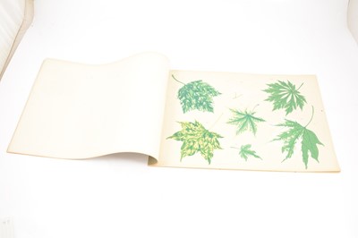 Lot 86 - Four Japanese trade catalogues for The Yokohama Nursery Co., Ltd.