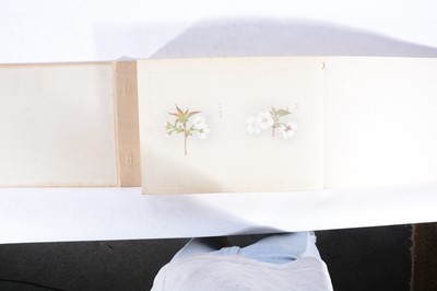 Lot 86 - Four Japanese trade catalogues for The Yokohama Nursery Co., Ltd.