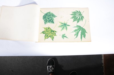 Lot 86 - Four Japanese trade catalogues for The Yokohama Nursery Co., Ltd.