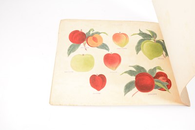 Lot 86 - Four Japanese trade catalogues for The Yokohama Nursery Co., Ltd.