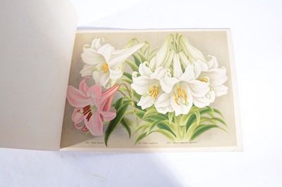 Lot 86 - Four Japanese trade catalogues for The Yokohama Nursery Co., Ltd.