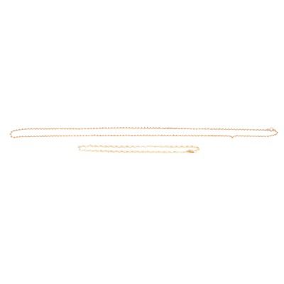 Lot 219 - A 9 carat yellow gold chain necklace and one other.