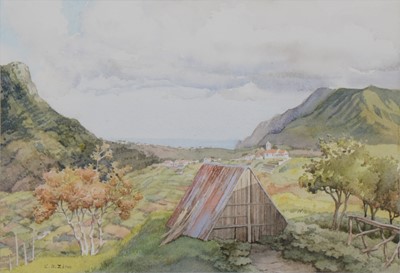 Lot 437 - Cecilia Zino, Madeiran landscape