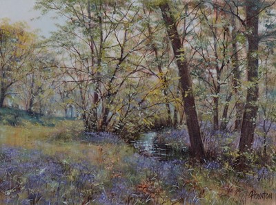Lot 428 - Deborah Poynton, Bluebell Wood, with meandering stream, oil on canvas.