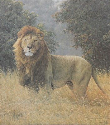 Lot 452 - Simon Coombes, Simba.