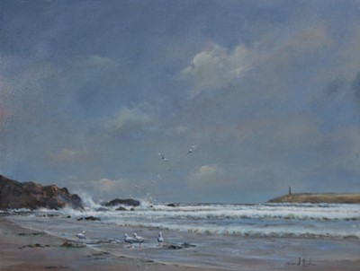 Lot 269 - David Hyde, Coastal scene with seagulls