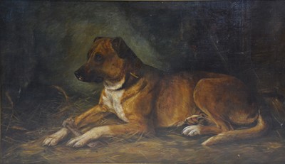 Lot 177 - English School, Dog portrait
