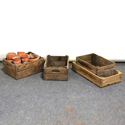Lot 493 - Quantity of terracotta plant pots and three wooden crates.