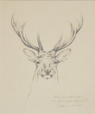 Lot 396 - Geoffrey Dashwood Study for Royal Stag, pencil, and a print