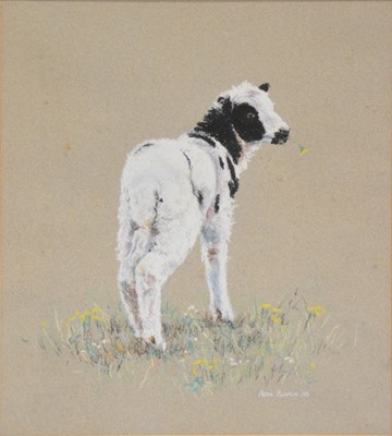 Lot 421 - Quantity of modern animal prints and pictures