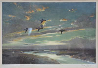 Lot 411 - Peter Scott print, Widgeon in flight