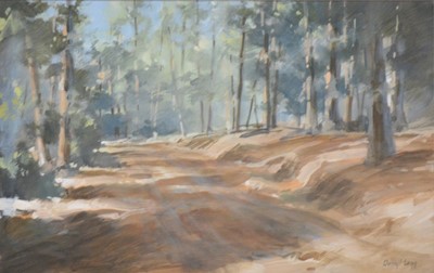 Lot 387 - Darryl Legg, Tokai Forest, Cape Town, and another watercolour by John Todds